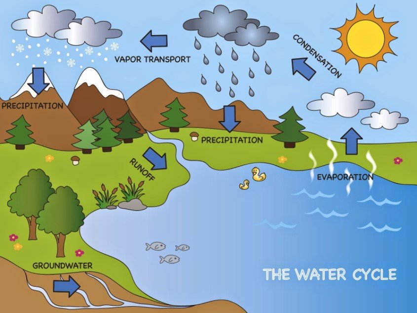 Weather for Kids Chapter 3: Basic Weather Terms | Weather Stationary