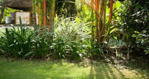 Garden Designs with bamboo | WeatherStationary.com