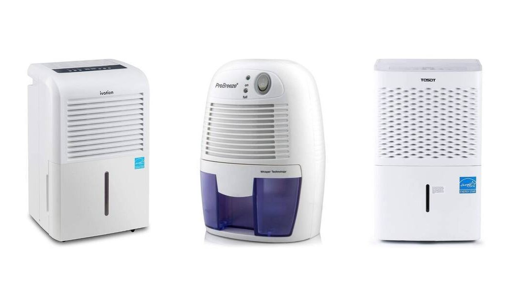 Best Garage Dehumidifiers in 2021: Our 5 Top Picks Reviewed