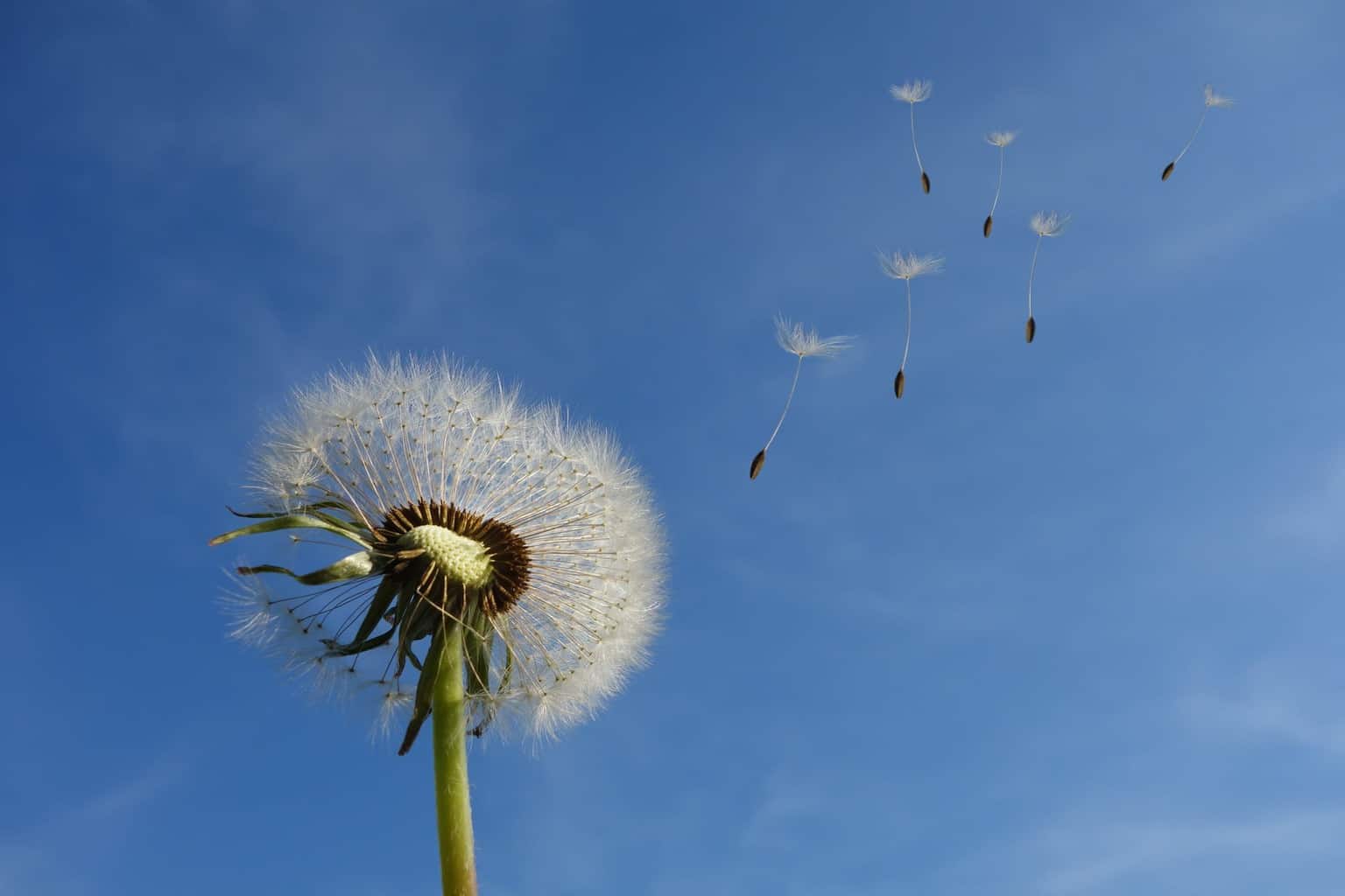 best anemometers