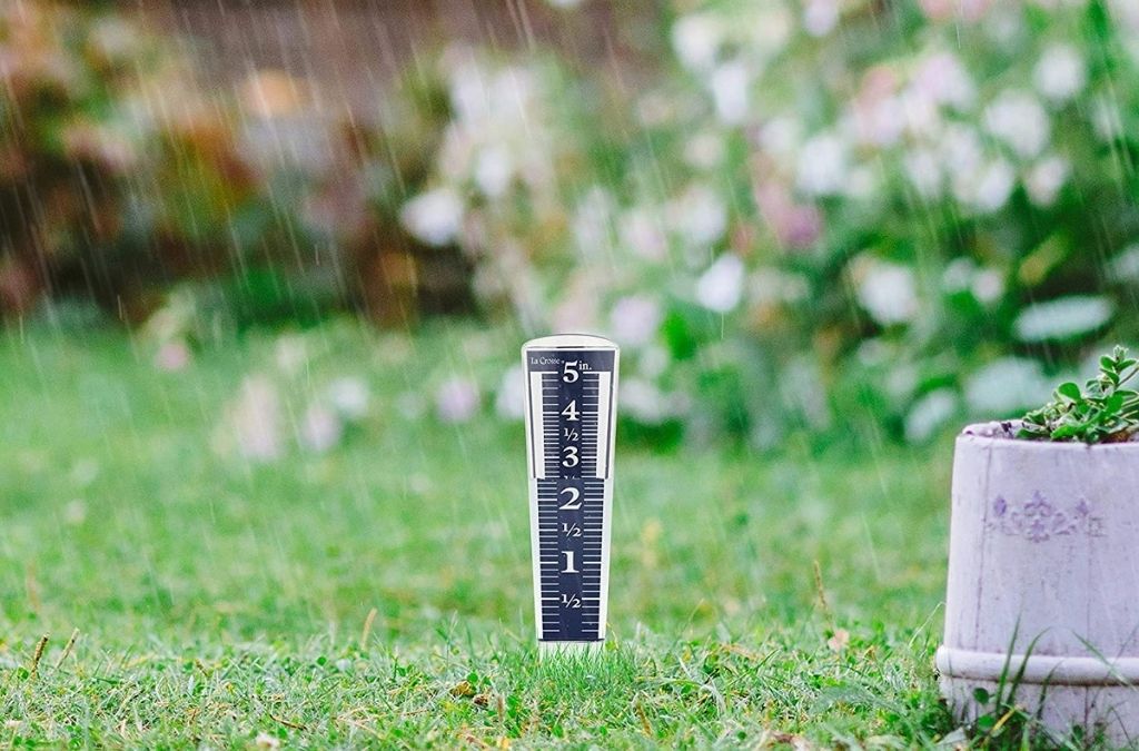 8 Top-Selling Rain Gauge in 2022: Keep Your Garden Green